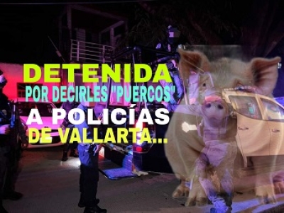 “Britney Spears” del Coapilondres durmió en chirona por gritarles “policías puercos” a los agentes del orden