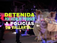 “Britney Spears” del Coapilondres durmió en chirona por gritarles “policías puercos” a los agentes del orden