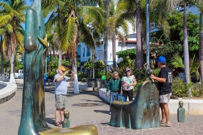 Puerto Vallarta retomará el ritmo que tenía en materia turística