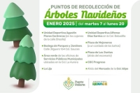 Habrá centros de recolección de pinos naturales en diferentes puntos de Puerto Vallarta