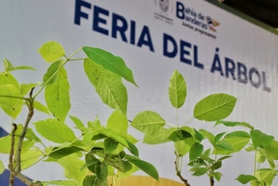 Celebra Bahía de Banderas el Día Nacional del Árbol