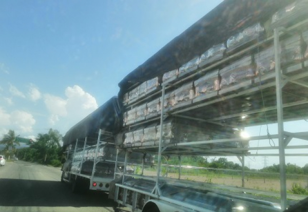 Aumentan decesos por Covid-19… y también la demanda de ataúdes