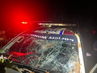 Les cae el 'Karma' a “mordelones” de Puerto Vallarta