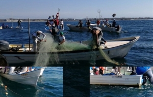 Pescadores de Punta Mita sufren el acoso de Los de La Peñita y Guayabitos; están a punto de enfrentarse en el mar