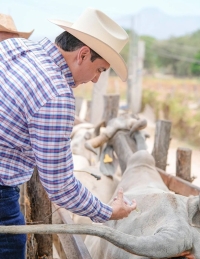 Supervisa alcalde de Bahía de Banderas acciones contra el gusano barrenador