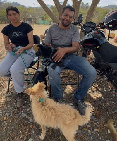 Impulsa Gobierno de Bahía de Banderas jornada gratuita de esterilización en Palmaritos