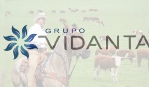 Las vacas de Roberto Sandoval no pastaron en las parcelas de Vidanta; la disculpa a De la Vega