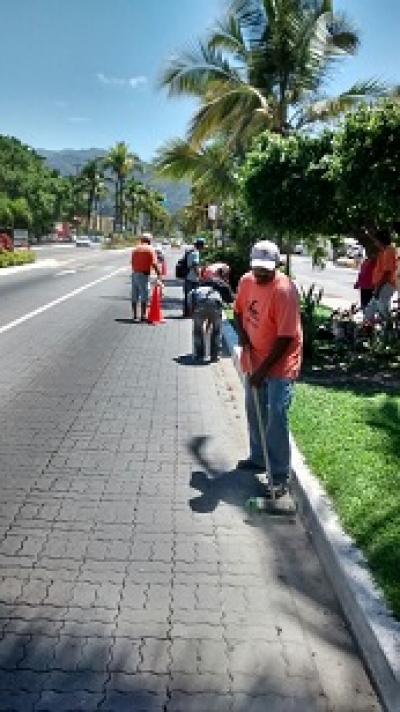 Limpian Vallarta