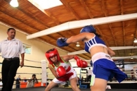 Con gran éxito se realizó el Campeonato Estatal de Boxeo en Puerto  Vallarta