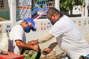 Procesos de SEAPAL, fundamentales en cuidado de la salud de los vallartenses