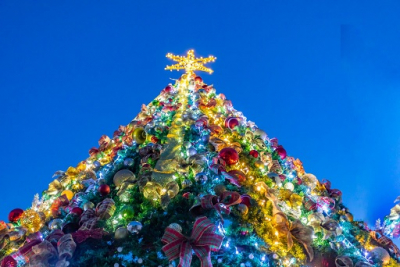 Encienden tradicional árbol de Navidad de SEAPAL