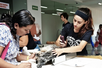 Supera expectativas Campaña Masiva de Esterilización Gratuita