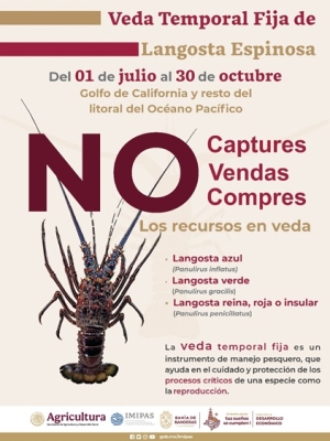 Inicia veda de especies marinas en Bahía de Banderas
