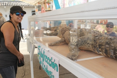 PV se unió a la celebración del Día Mundial de la Madre Tierra