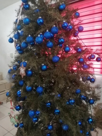 Inicia Ayuntamiento de Vallarta campaña de acopio de árboles navideños