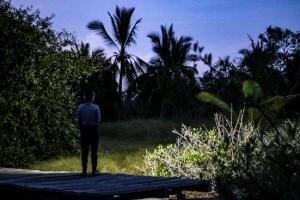 Graban y registran los sonidos del estero El Salado