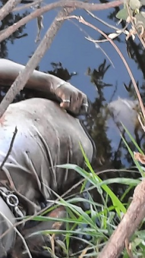 Lo arrojaron a un canal de aguas pluviales