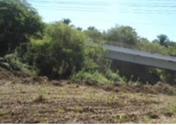 Clausura Profepa “Parcela No. 1206” en Bahía de Banderas