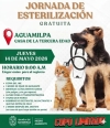 Nueva jornada de esterilización gratuita en Aguamilpa