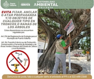 Retiran publicidad en árboles de Puerto Vallarta