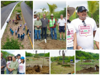 Plantan más de 300 árboles conmemorando el Día Mundial del Árbol en Bahía de Banderas