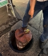 Cono de señalización tapona pozo de visita en la av. Politécnico; llama SEAPAL a cuidar el drenaje no arrojando objetos