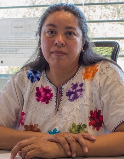 Investigadores del CUCosta vigilan actividad del volcán El Ceboruco