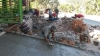 Concluye gobierno municipal obra en Paseo de las Palmas para beneficio de Hermosa Provincia e Ignacio L. Vallarta