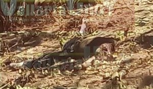 En martes 13, hallan al presunto “Yuka” ejecutado; no escapó de la muerte