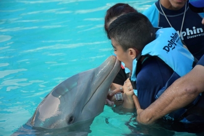 Grupo de personas con discapacidad convive con delfines