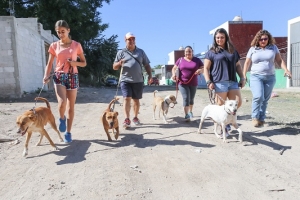 Condena Alcalde crueldad cometida contra animales domésticos