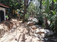 Isla del Río Cuale representa un papel protagónico en la promoción de Vallarta