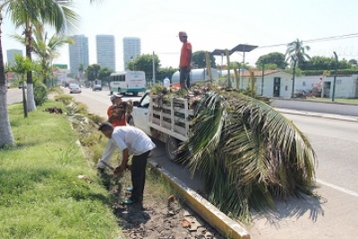 Mantenimiento a Imagen de Avenida Medina Ascencio será Permanente