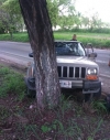 Andaban tomados y se estrellaron con un árbol en la carretera 544