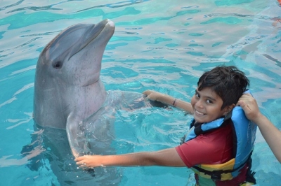 Brindan terapias con delfines a niños con Discapacidad