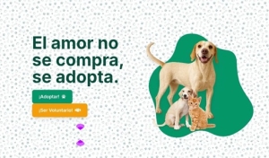 ¡Conoce la plataforma web de adopción animal del Gobierno del Bien!