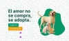 ¡Conoce la plataforma web de adopción animal del Gobierno del Bien!