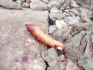 Encapuchados cortan dedos de una mano a dos menores en Tlaquepaque