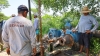 Gobierno de Bahía de Banderas retira equipo dañado del cárcamo de Altavela y mantiene trabajos para resolver la contingencia