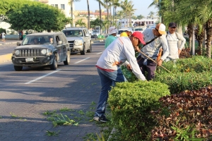 Realizan trabajos de embellecimiento en la avenida principal