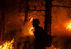 Promueven la prevención de incendios forestales