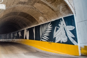 Artista mexicana interviene túnel “chico” de Vallarta con mural