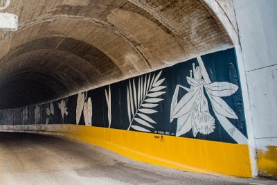 Artista mexicana interviene túnel “chico” de Vallarta con mural