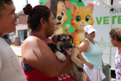 Llega la Unidad Móvil Veterinaria a San Esteban con esterilizaciones gratuitas