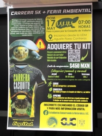 Invitan a participar en la Carrera 5K “Casquito de Vallarta”
