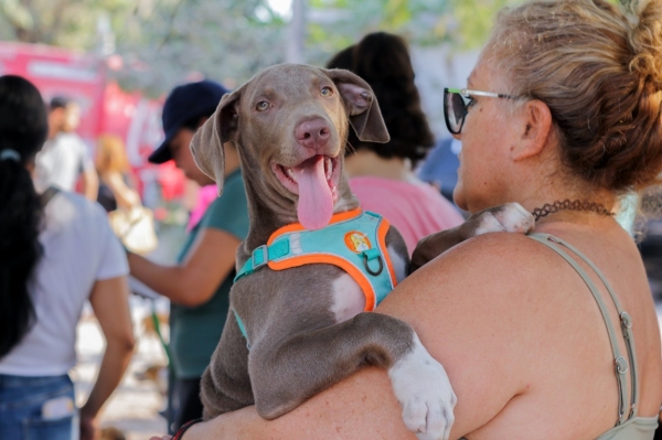 Llega la Unidad Móvil Veterinaria a la colonia Cristóbal Colón