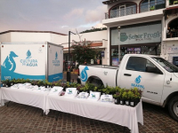 SEAPAL Vallarta lleva vida a la celebración del ‘Día de Muertos’