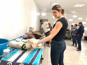 El bienestar animal es un tema esencial del gobierno municipal