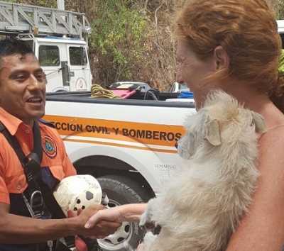 Bomberos rescatan a perrita que cayó 10 metros en los condominios “Selva Alta”