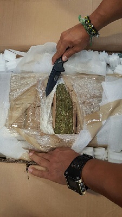 Descubren 70 kilos de mota